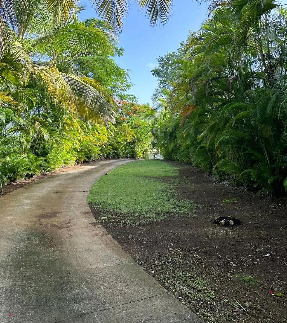 Residence Morne Bunel En Guadeloupe - Zone Prisee Abymes - Gosier - Pointe-A-Pitre Avec Piscine, Jardin, Arbres Fruitiers Les Abymes