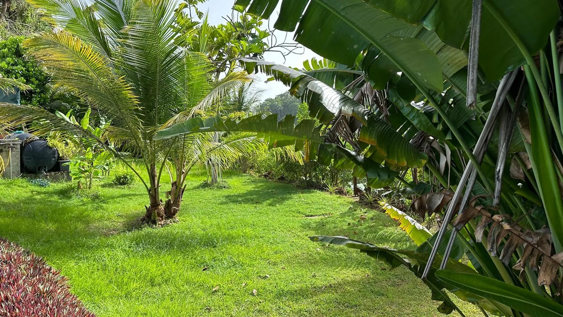 Residence Morne Bunel En Guadeloupe - Zone Prisee Abymes - Gosier - Pointe-A-Pitre Avec Piscine, Jardin, Arbres Fruitiers Les Abymes Guest house